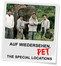 AUF WIEDERSEHEN,            THE SPECIAL LOCATIONS PET